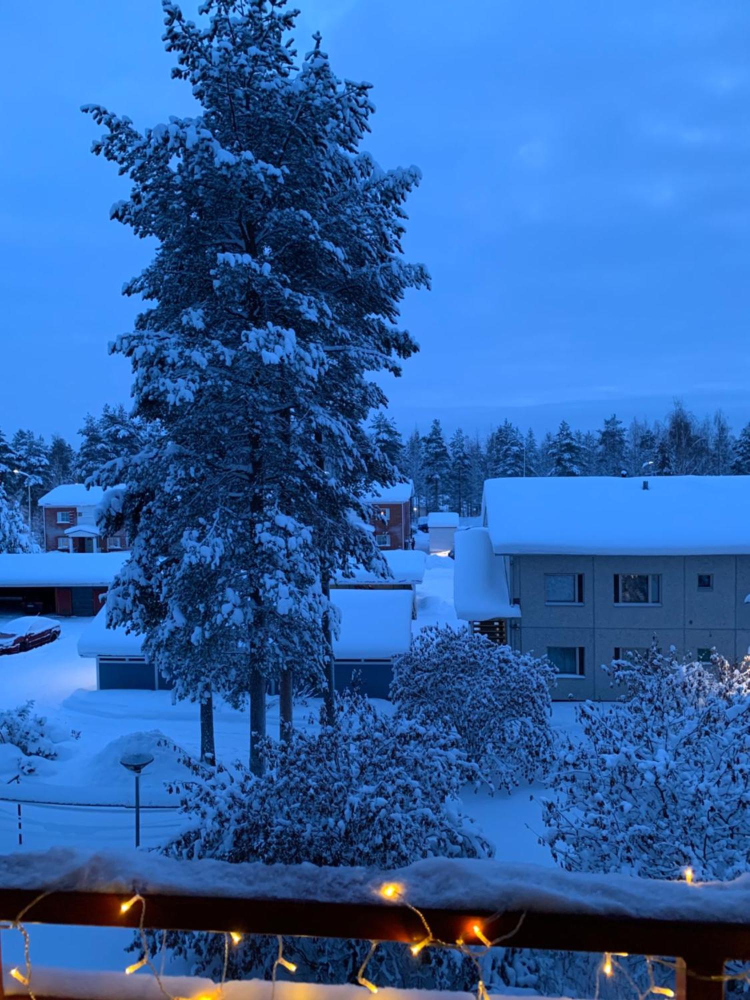 Susihukka & Punahilkka Apartments With Sauna Рованиеми Экстерьер фото